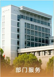 主要负责篮球下注官网优惠活动信息化建