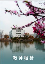 计算机网络中心合并组建